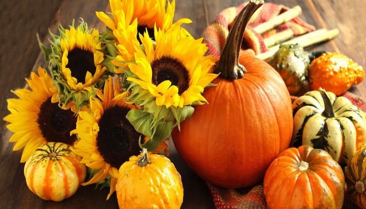 Utilizzi della zucca non solo in cucina