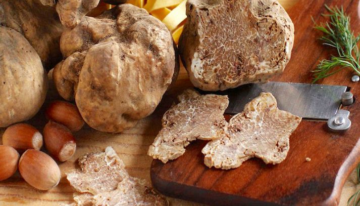 Valori nutrizionali del tartufo