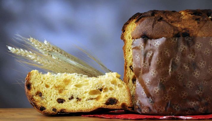 Panettone al cioccolato