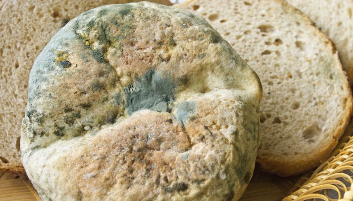 Muffa sugli alimenti, sempre dannosa?