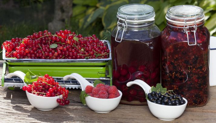 Ribes al maraschino