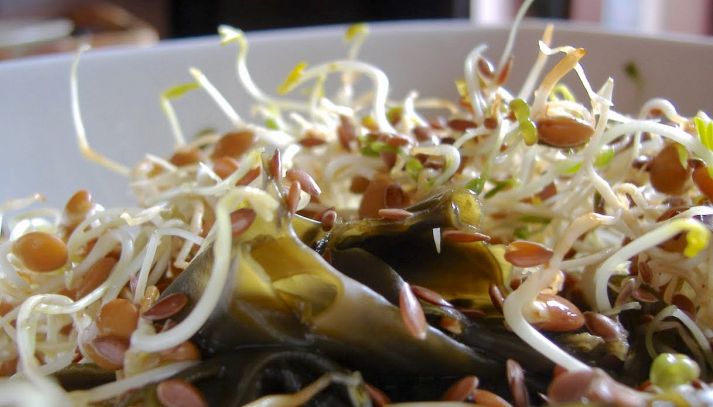 Germogli di soia e pomodori in insalata