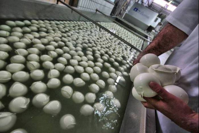 Consorzio mozzarella bufala Dop avvia secondo corso per diventare casaro