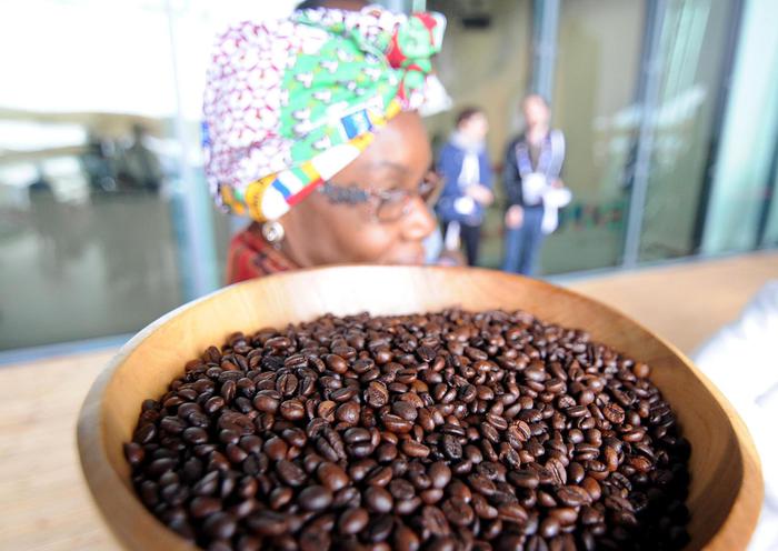 Dalle montagne del Ruanda a New York l'Oscar del caffe'