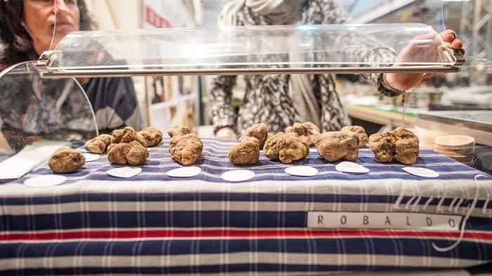Ad Alba la Fiera internazionale del Tartufo Bianco