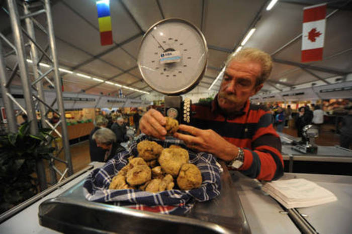 Show cooking chef stellati per clou Fiera Tartufo d'Alba