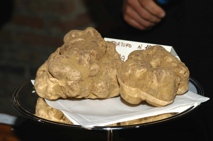 Alba, per la Fiera del tartufo un'ottima annata e presenze record