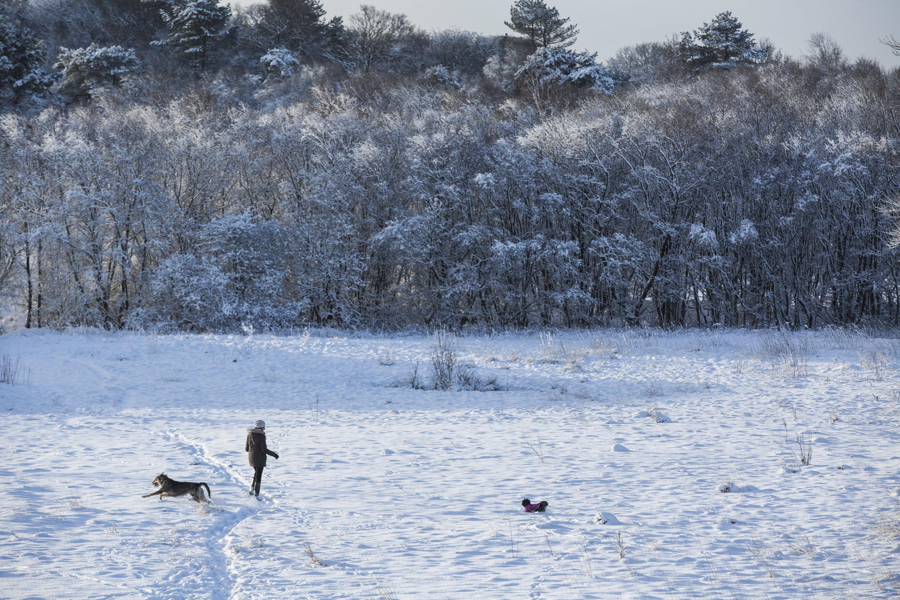 Allarme rosso per neve in Scozia