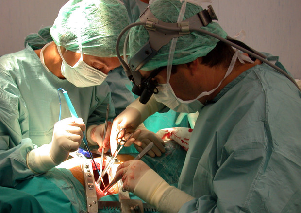 In Italia prima catena trapianti del rene innescata da cadavere
