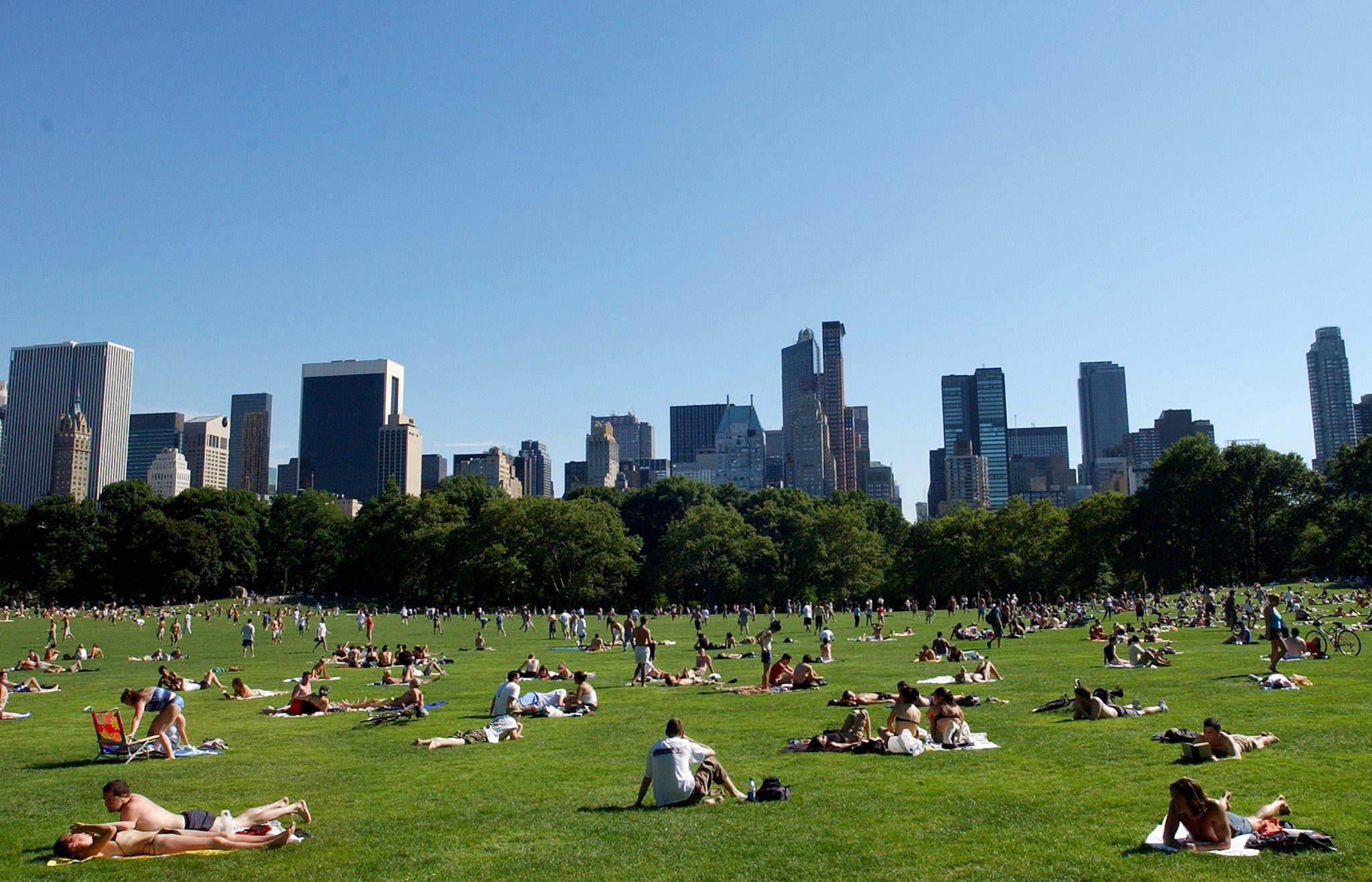New York: auto al bando da Centarl Park