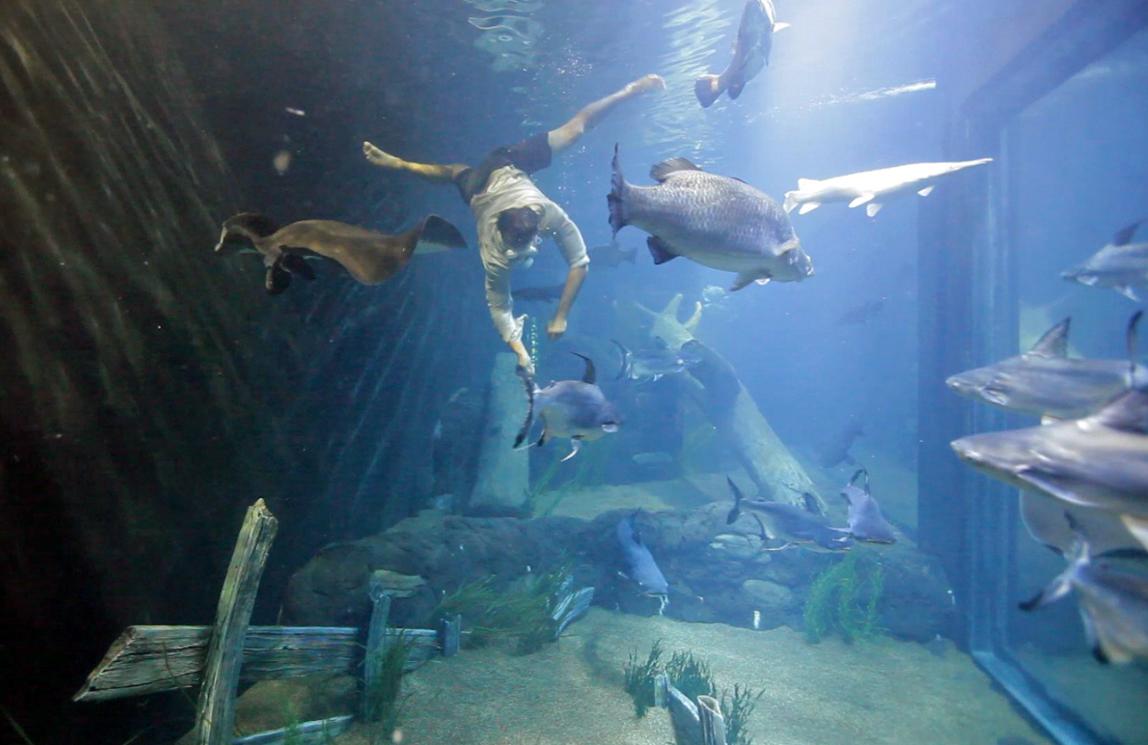 Su Alpha pesci da incubo di Monster fish