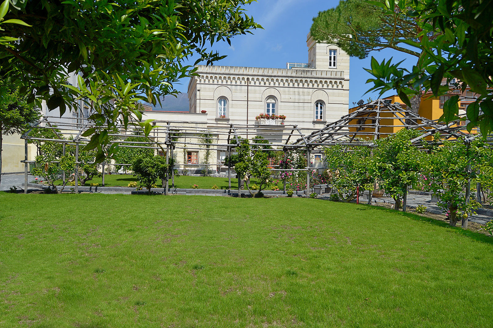 Ecco come rinasce rosa antica di Pompei