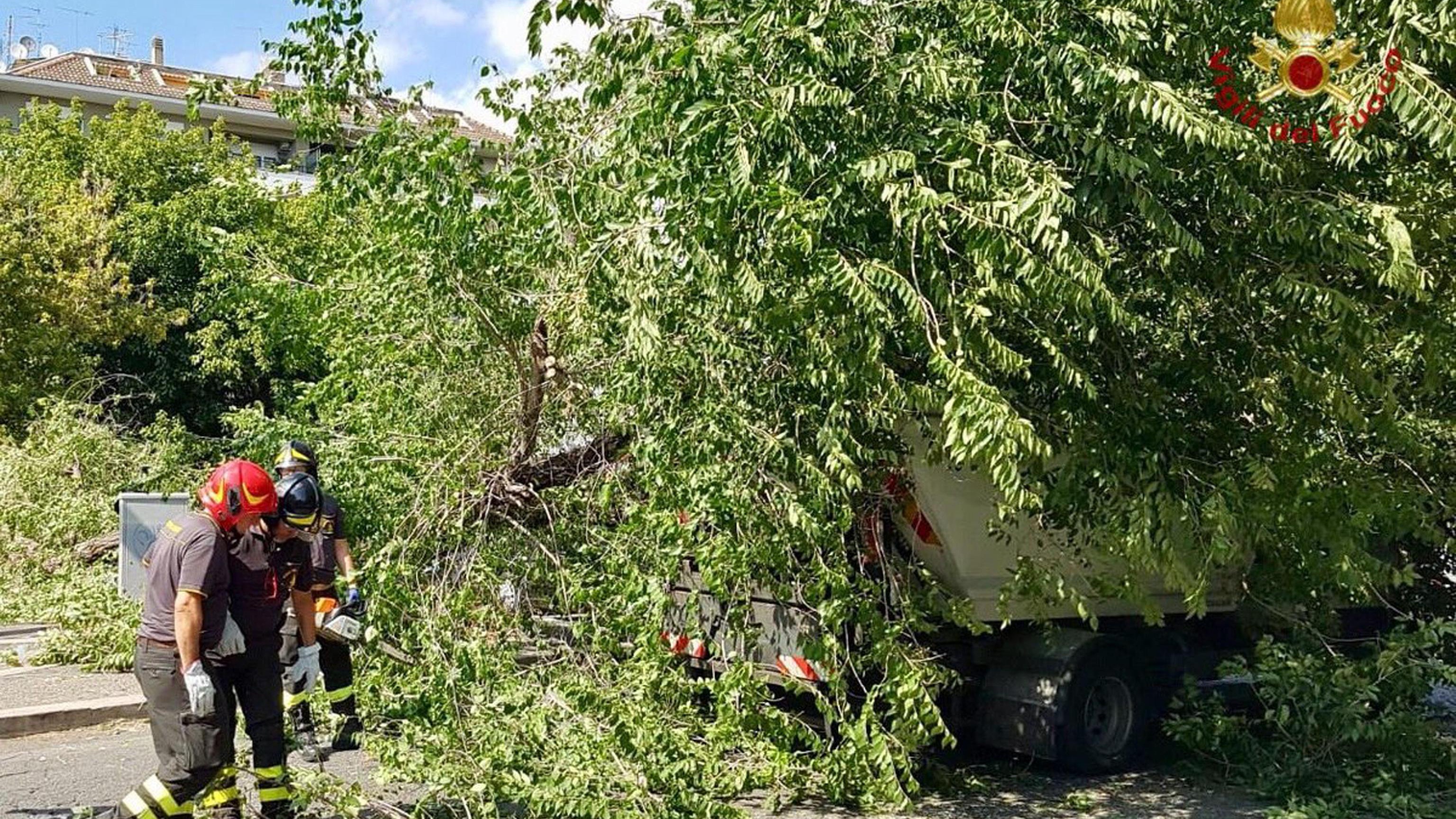 Albero cade su auto a Roma, due feriti