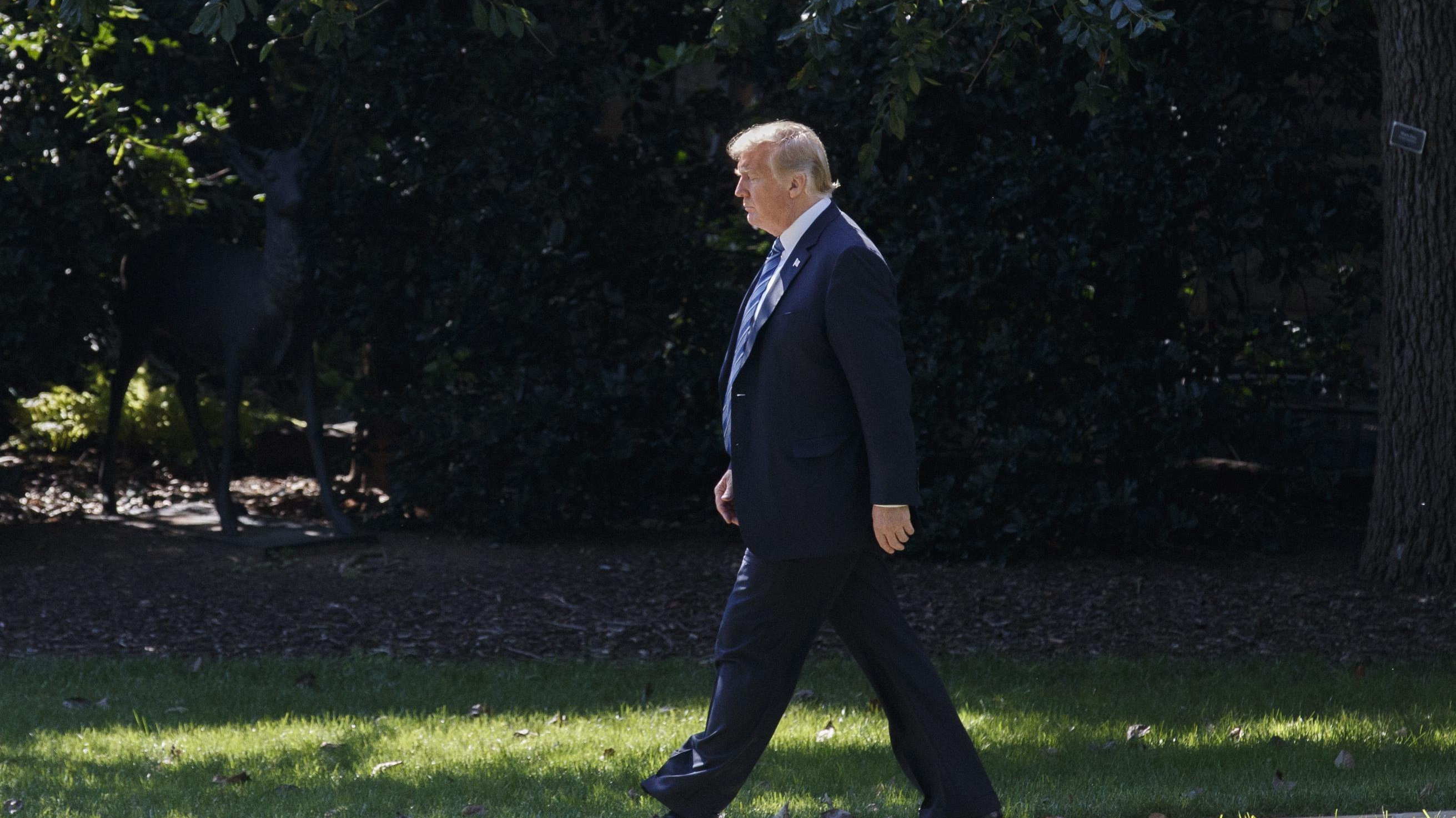 Trump attacca Nyt: 'tradimento'