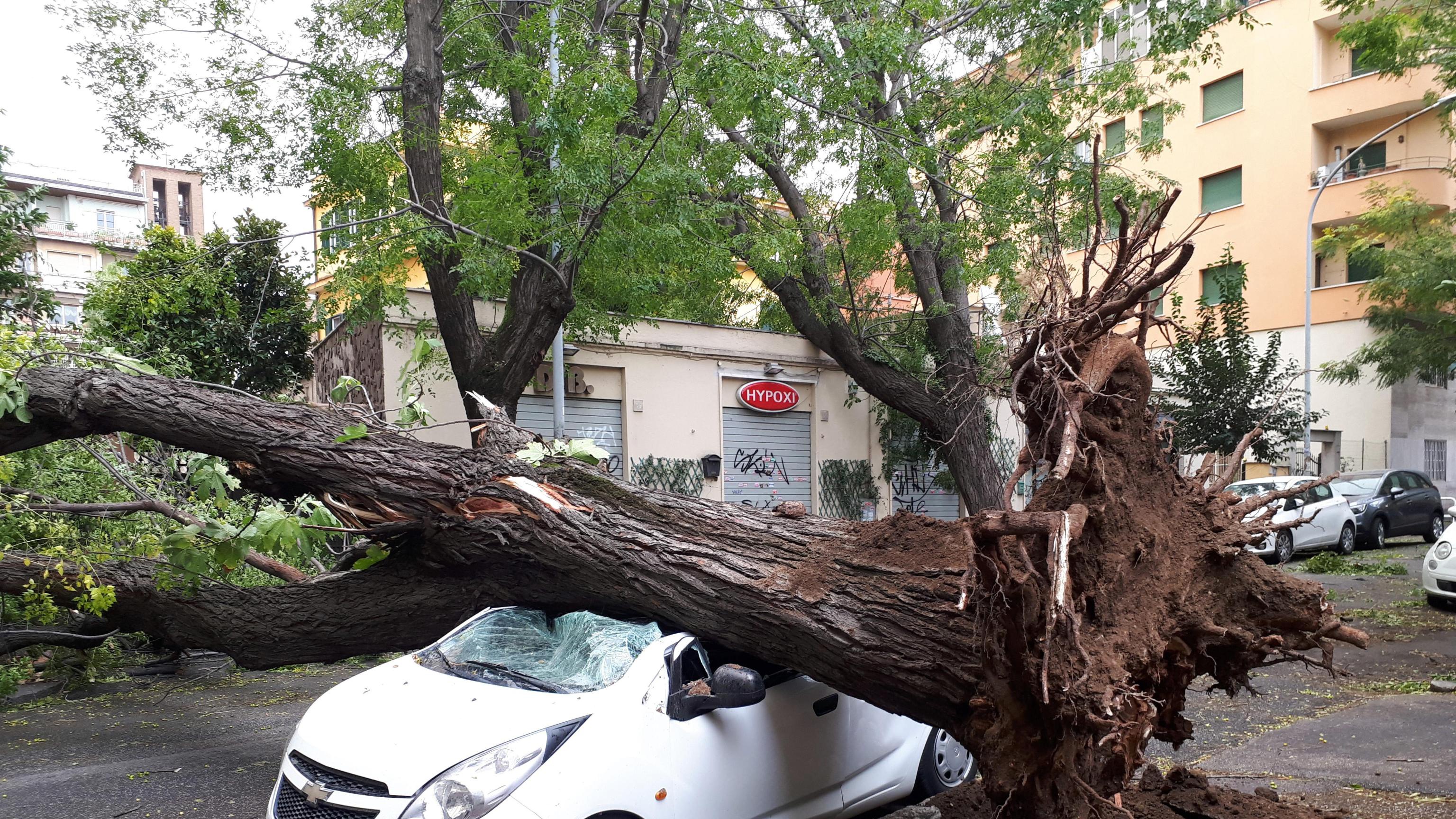 Maltempo: 2 morti in provincia Frosinone