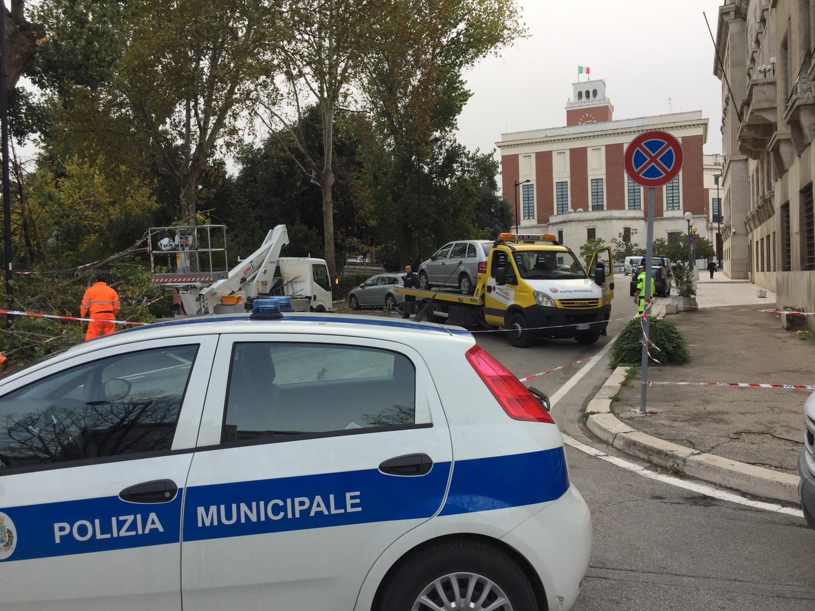 Albero su auto a Pescara, grave donna