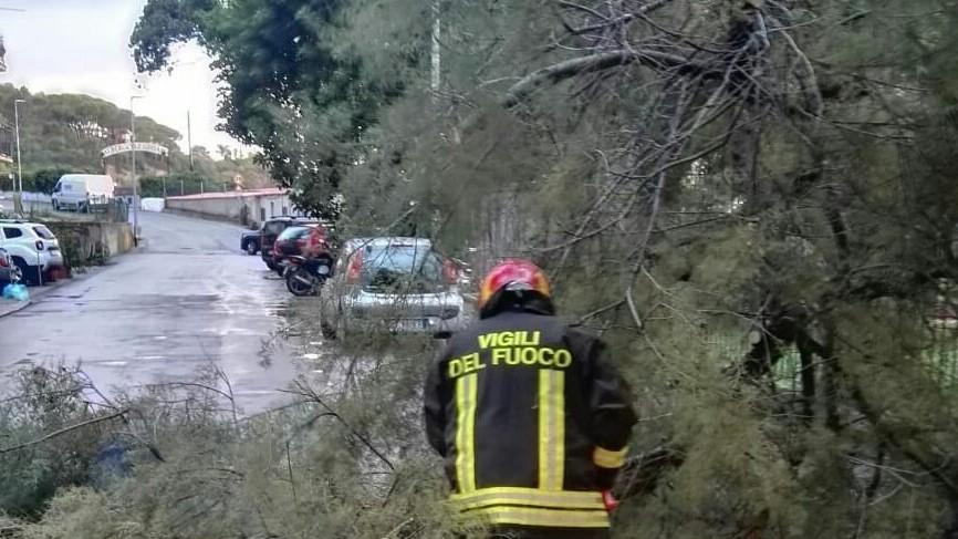 Maltempo,1000 interventi Vvf da svolgere