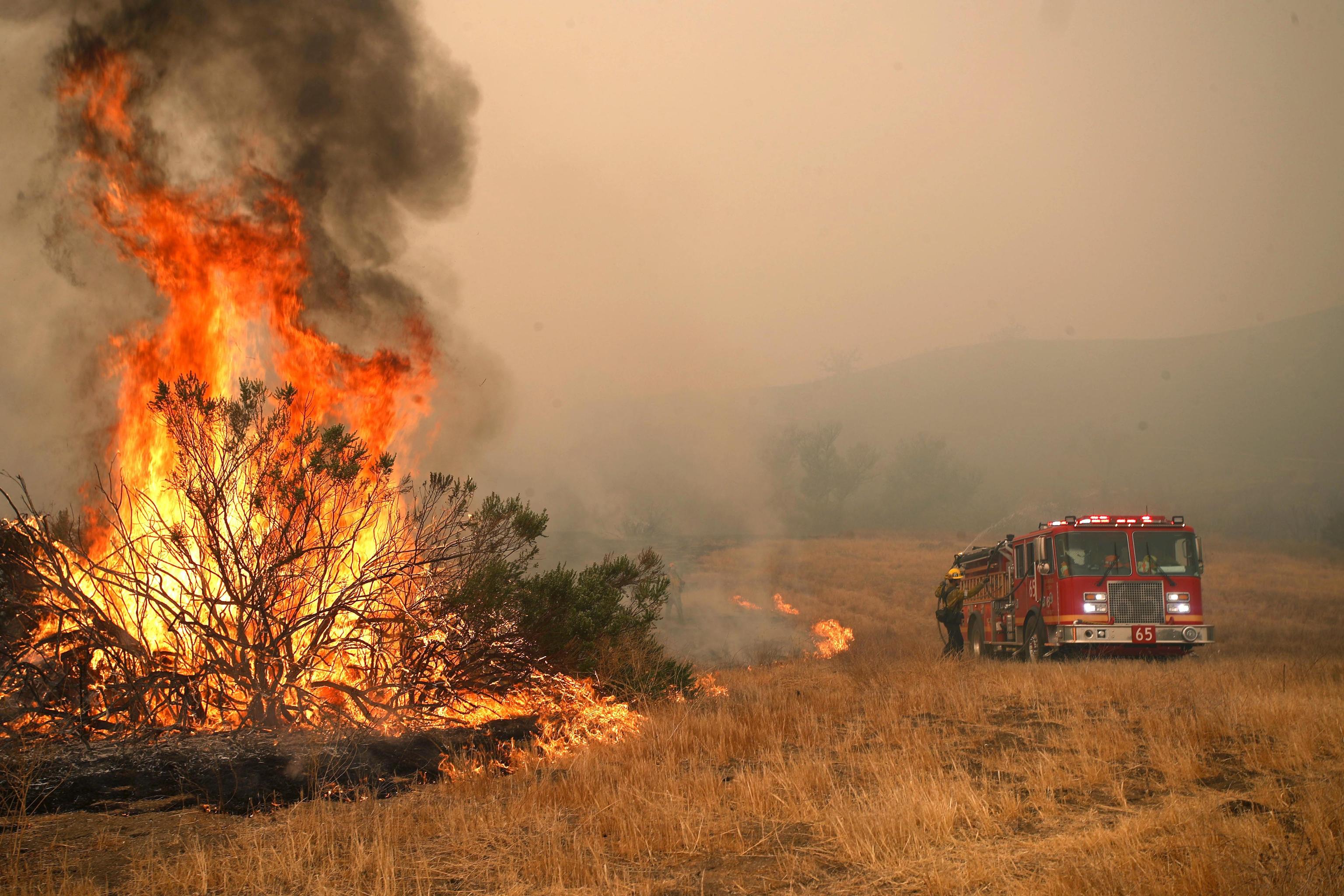 Incendi California, almeno 11 i morti