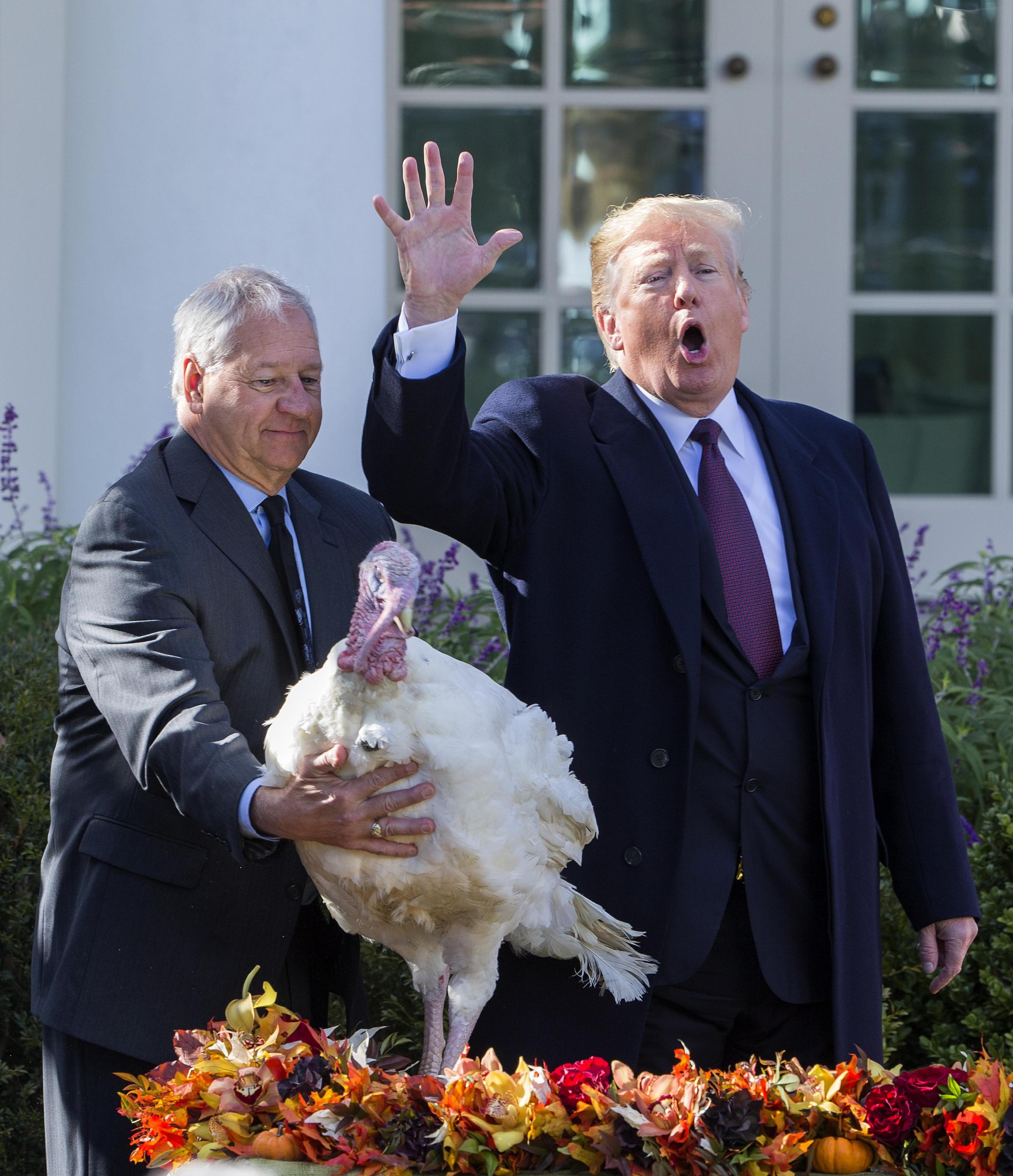 Trump grazia 2 tacchini per Thanksgiving