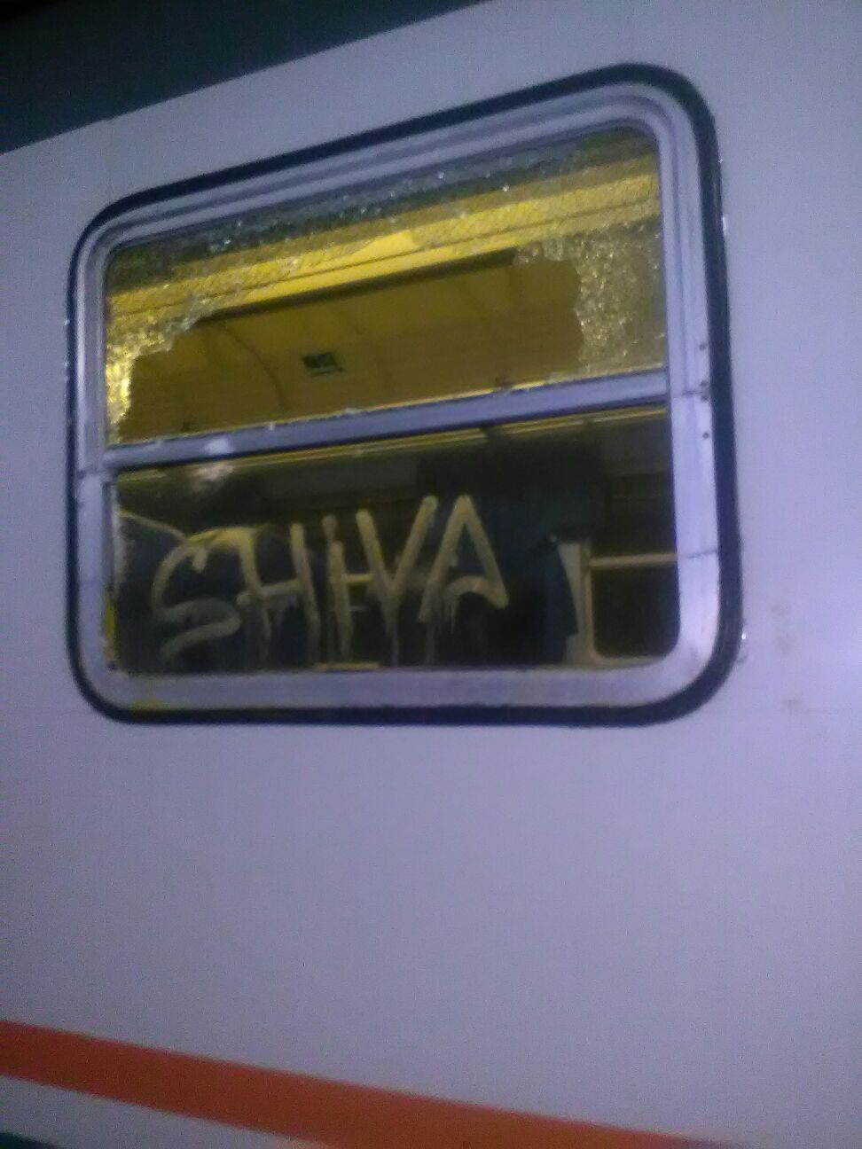 Lancio pietre contro treno,ferita donna