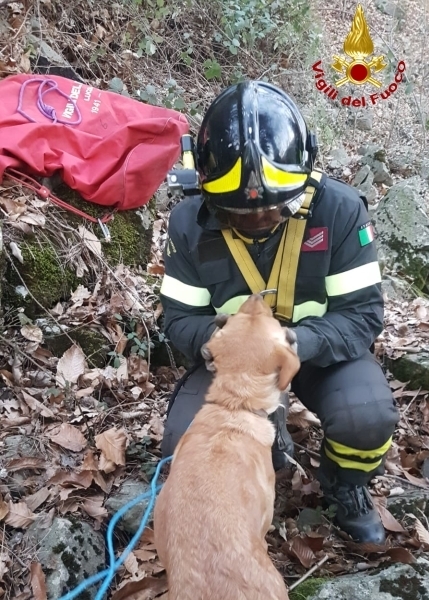 Botti: cane fugge, recuperato da Vvf