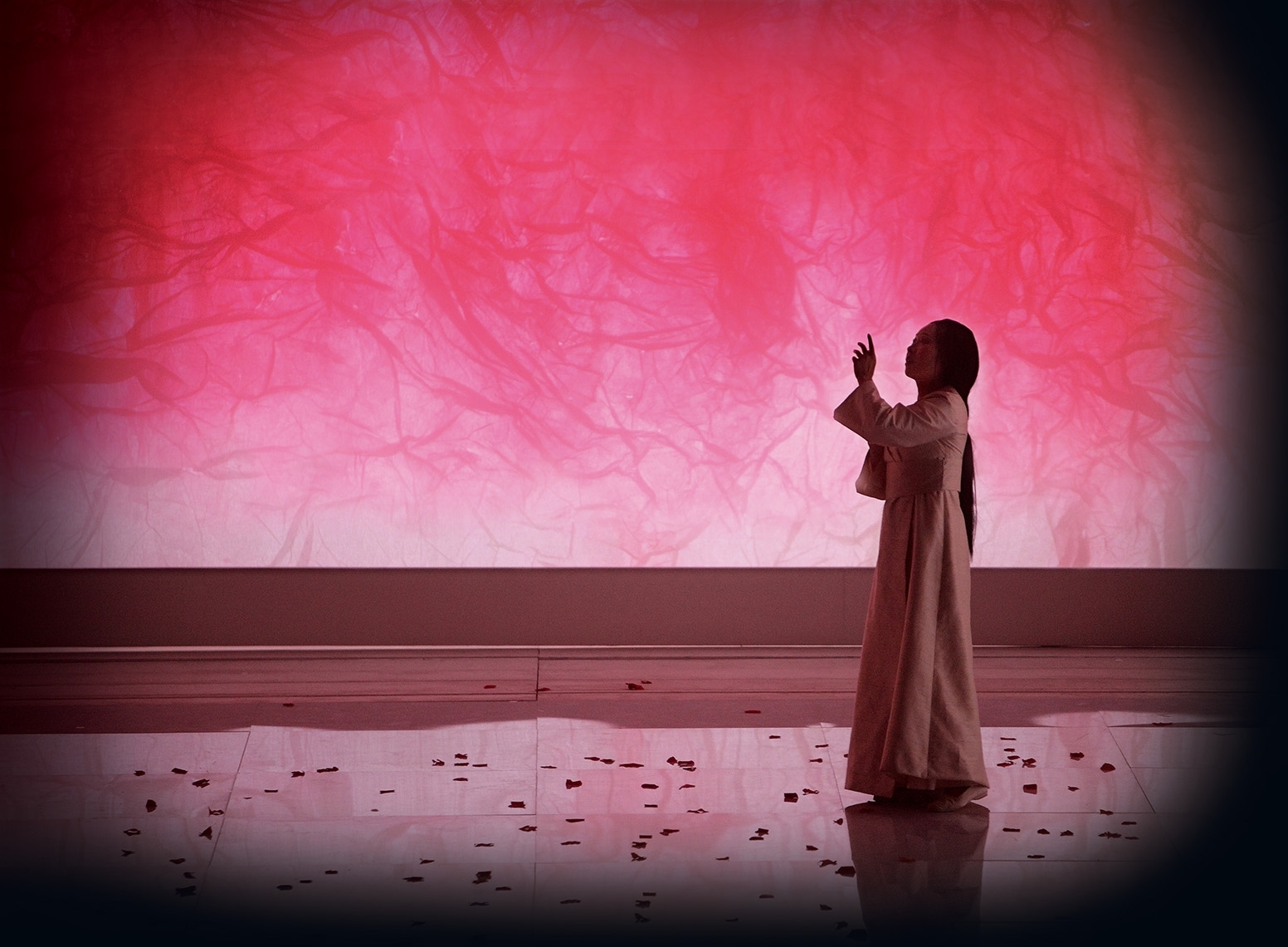 Al Petruzzelli c'è Madama Butterfly