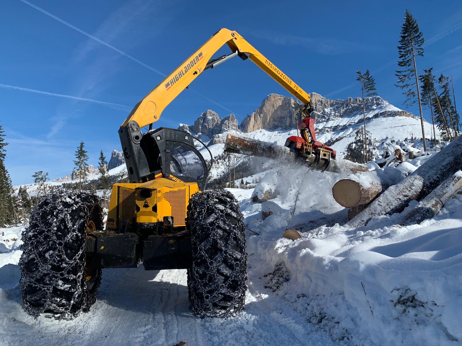 Neve frena lavoro nei boschi martoriati