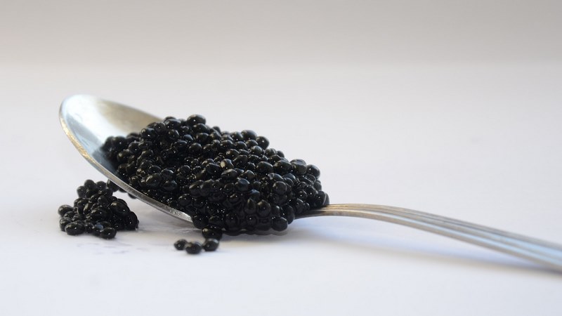 Caviale pregiato: costi e caratteristiche Caviale pregiato: costi e caratteristiche