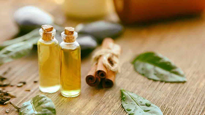 olio di melaleuca olio di melaleuca