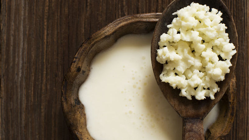 kefir di latte cos'è kefir di latte cos'è