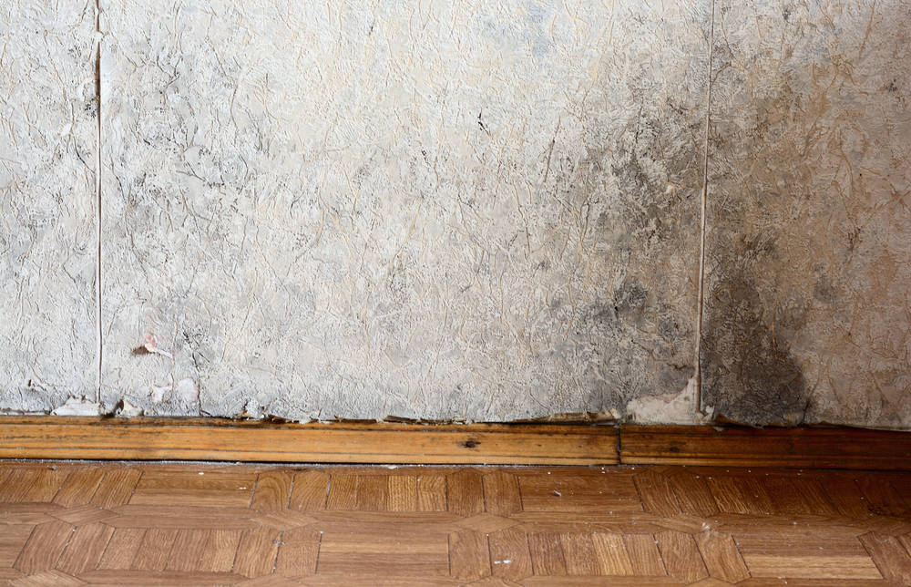 Come eliminare muffa in casa a causa di perdite, alcuni consigli pratici Riscaldamento a pavimento consigli