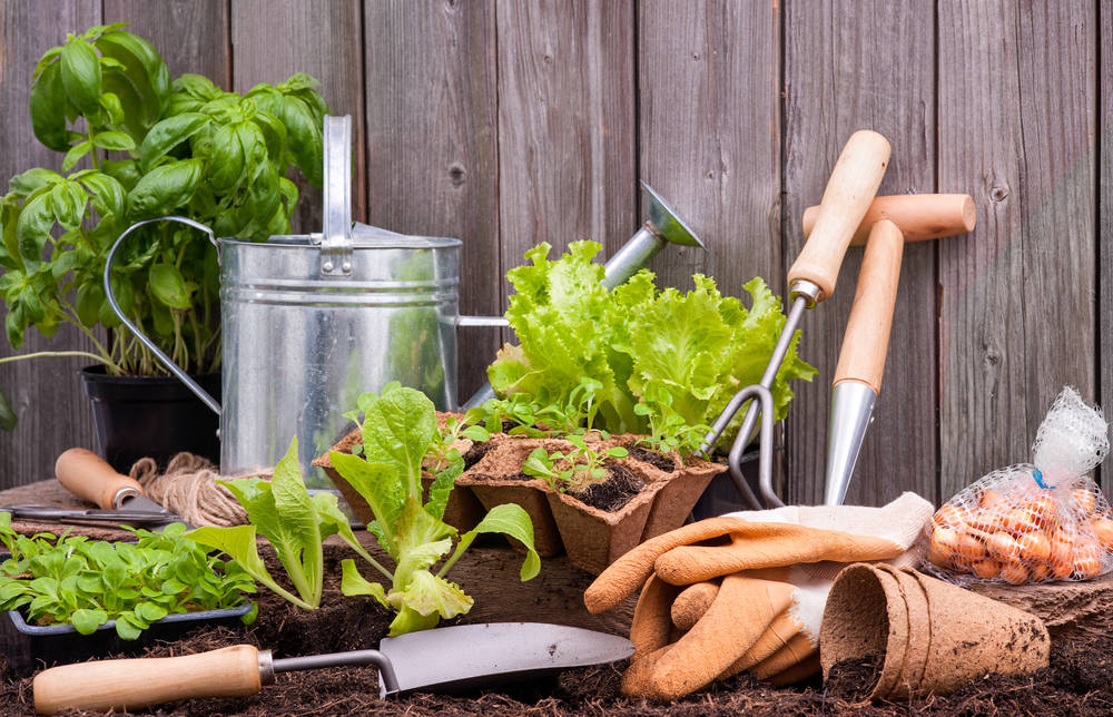Gli interventi di giardinaggio Come fare un preventivo di giardinaggio