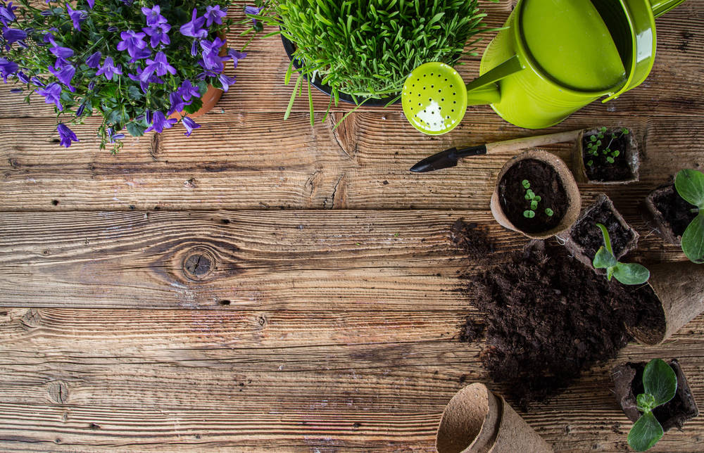 I lavori di giardinaggio più utili per un orto rigoglioso Come fare un preventivo di giardinaggio