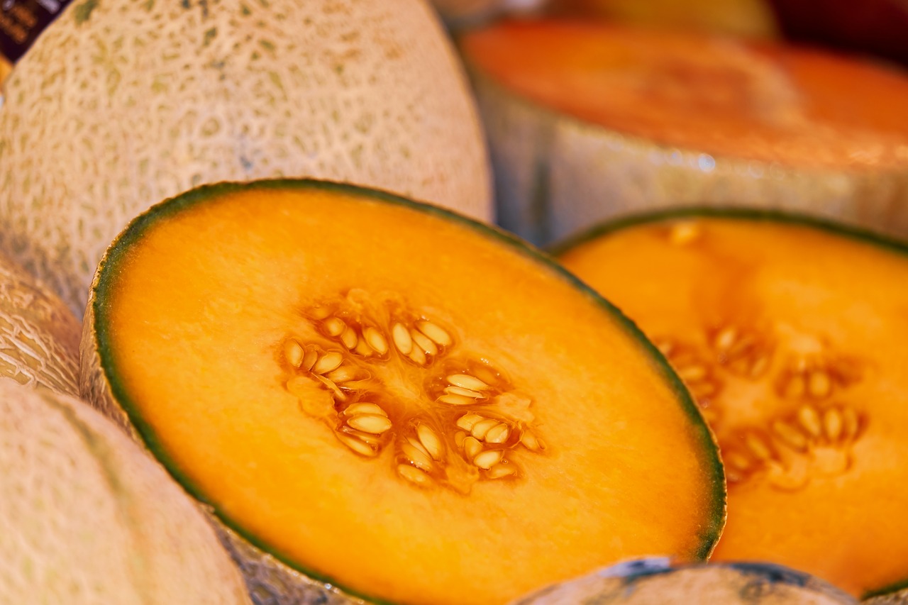 Come coltivare il melone: consigli e metodi Come fare un preventivo di giardinaggio