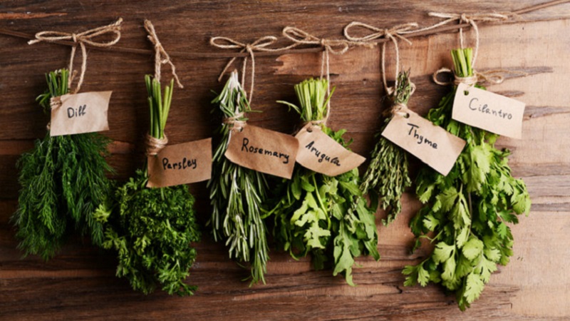 Coltivare piante aromatiche