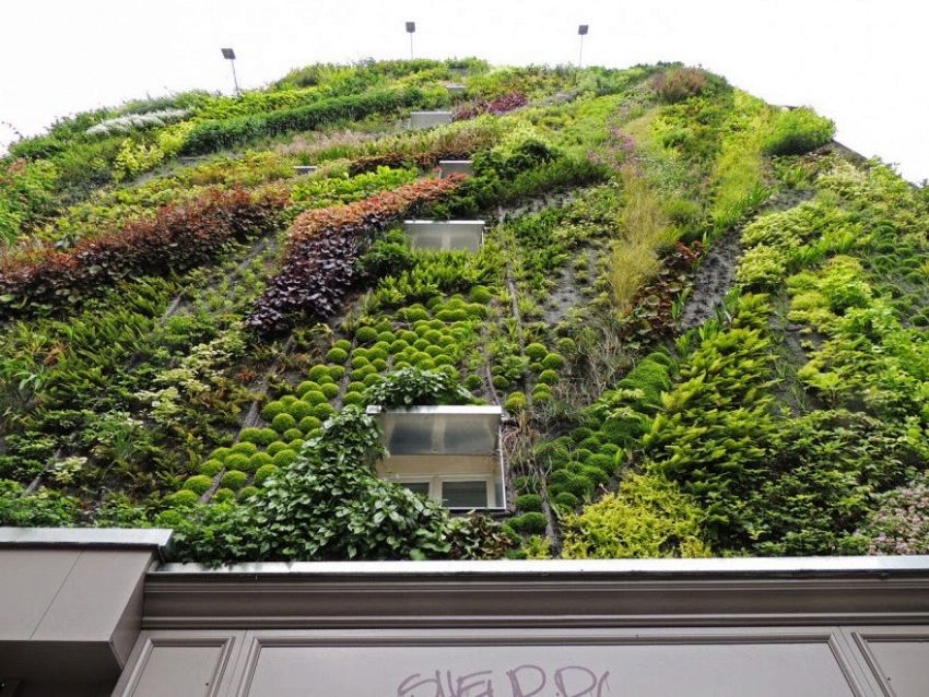Giardini verticali: come realizzarli sia per interni sia per esterni ... Giardino in verticale