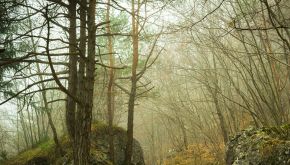 La moglie lo opprime. Va a vivere per 10 anni nei boschi