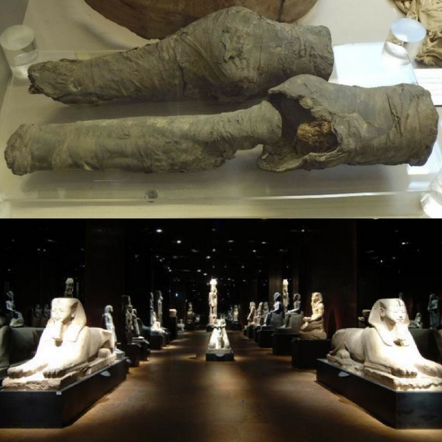 Gambe della regina Nefertari - Museo Egizio