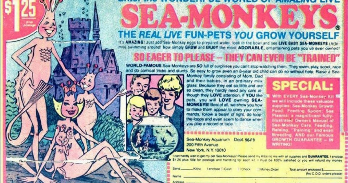 La vera storia delle scimmie di mare superEva