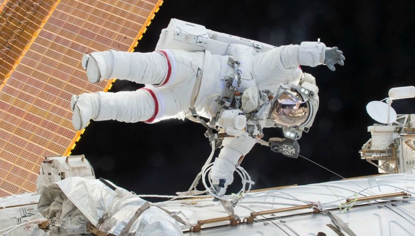 Come Fanno La Cacca Gli Astronauti