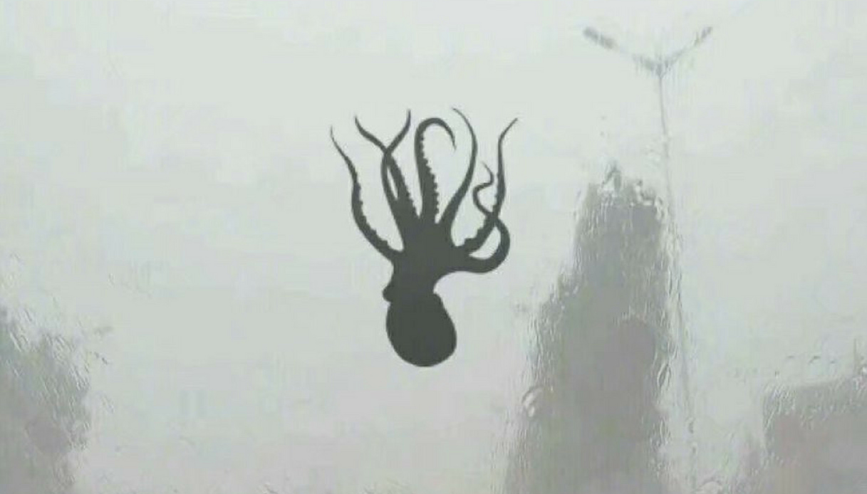 In Cina piovono frutti di mare