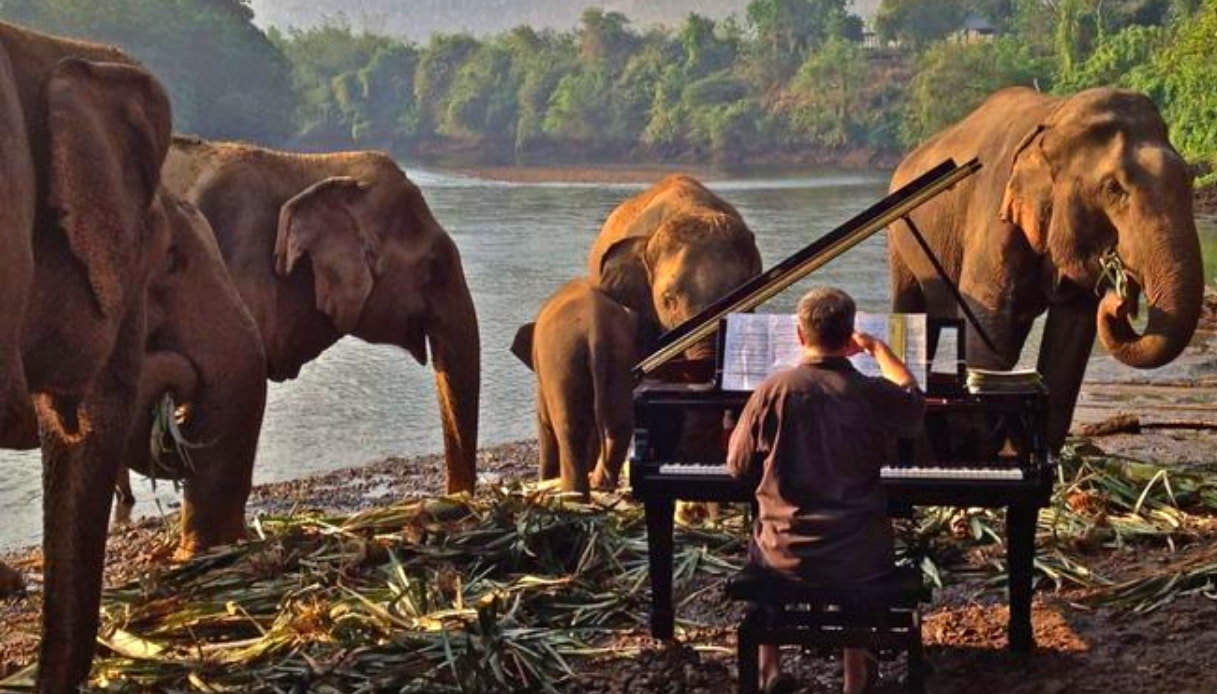 Paul Barton - Concerto per elefanti