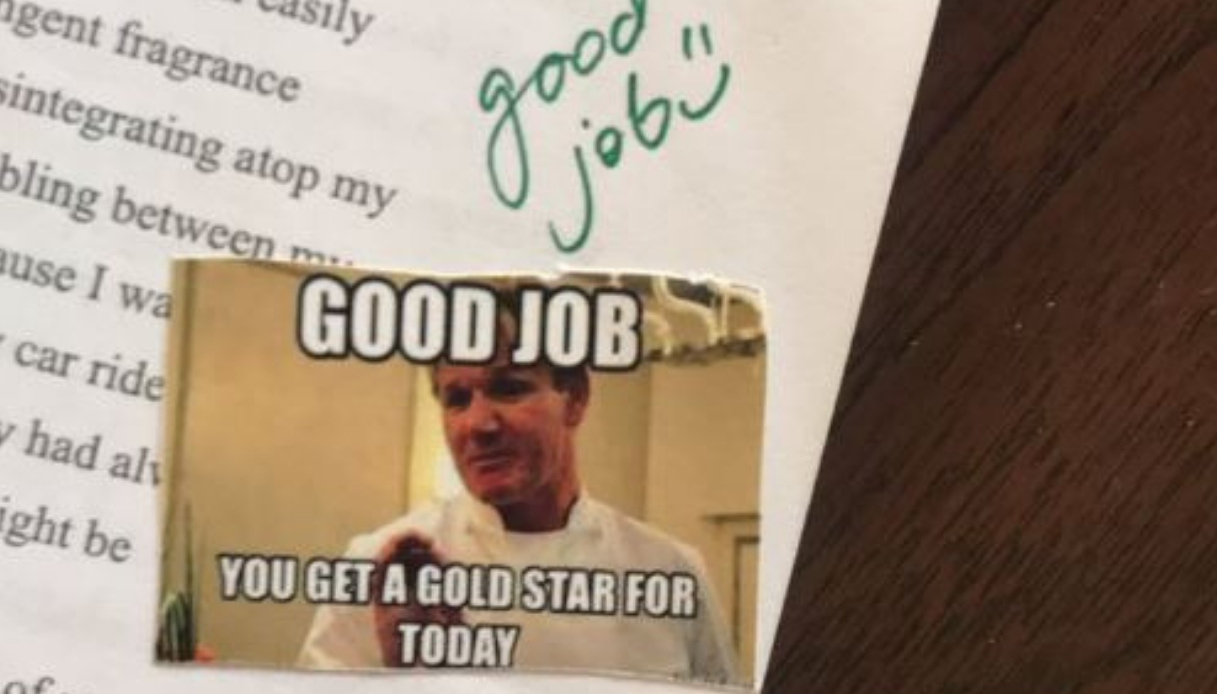 Un’insegnante ha dato i voti agli alunni usando i meme